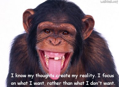 Ape