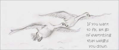 Fly